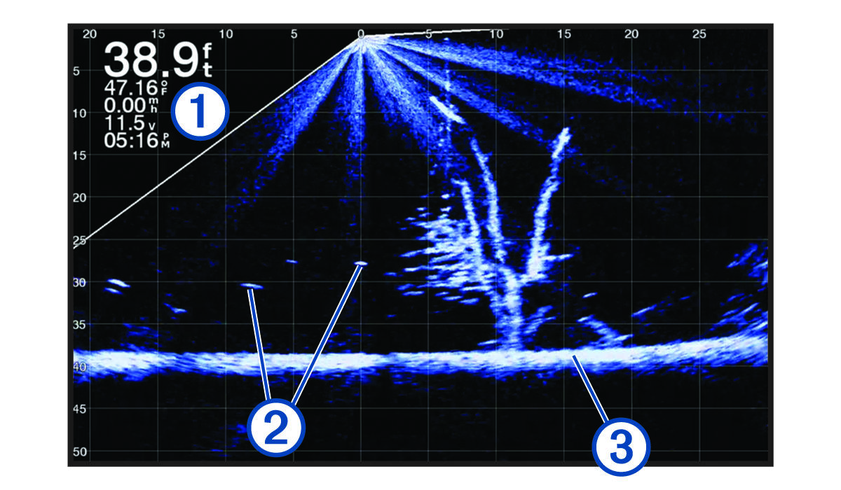 Visualização do sonar Panoptix LiveScope com legendas