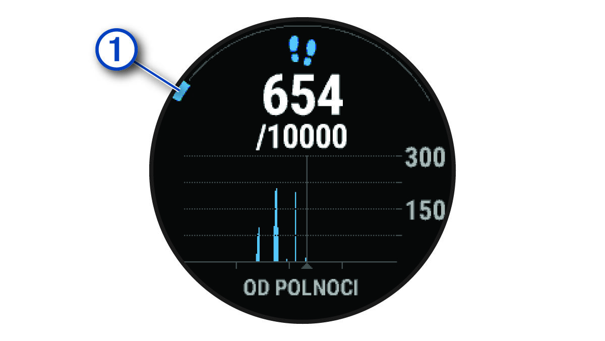 Údaje o cieli počtu krokov s popisom