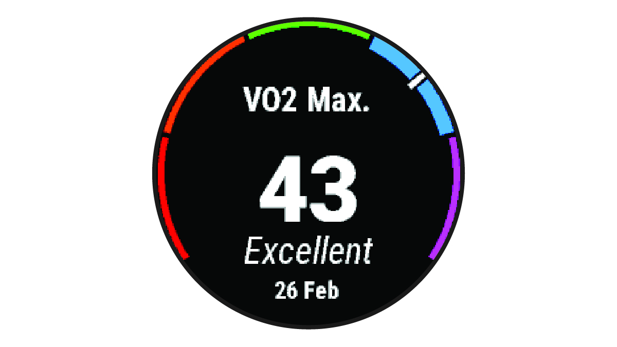 VO2 max. data