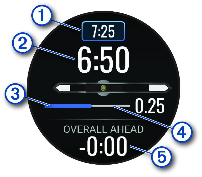 Zrzut ekranu strony PacePro z objaśnieniami