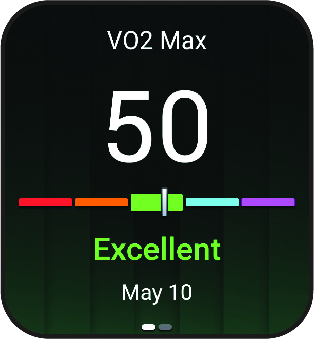 VO2 max. adatok