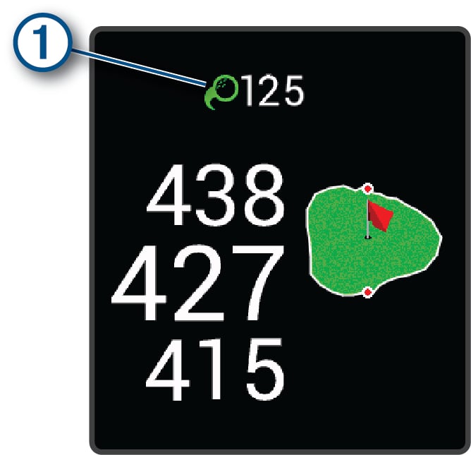 Данные AutoShot в гольфе с обозначениями