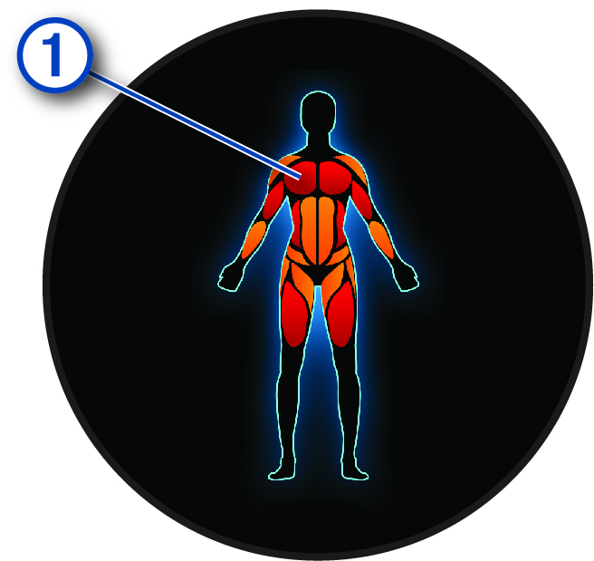 Muscles worked with a callout