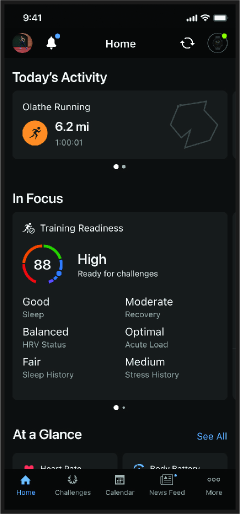 Screenshot of the Garmin Connect app