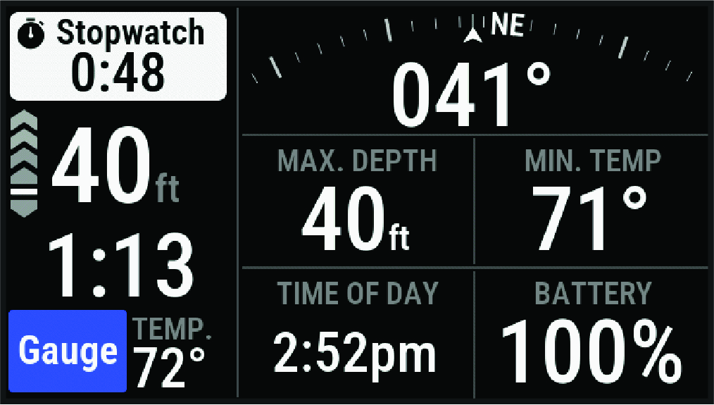 Gauge dive data screen