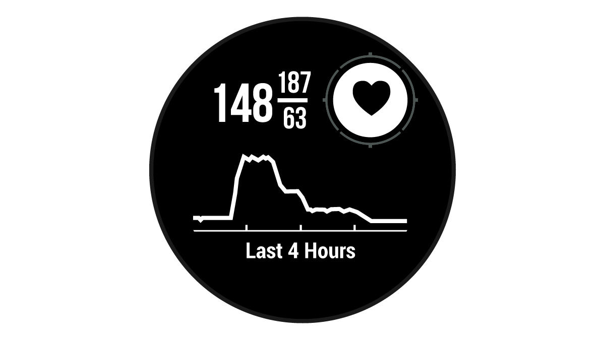 Screenshot of heart rate widget