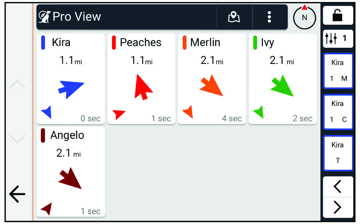Screenshot of the Pro View feature