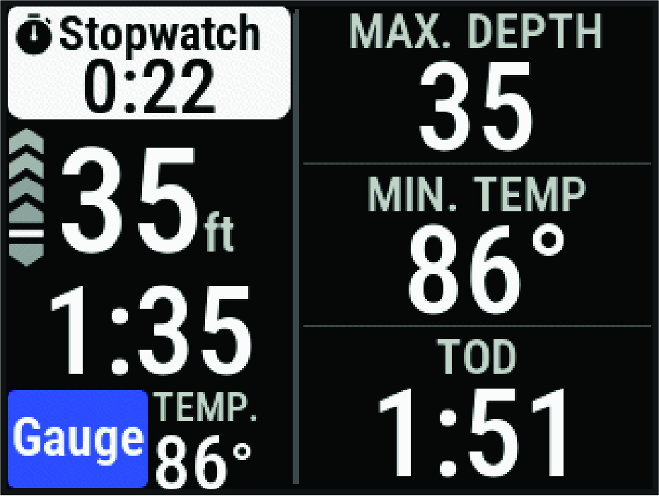 מסך נתוני צלילה עם מד צלילה