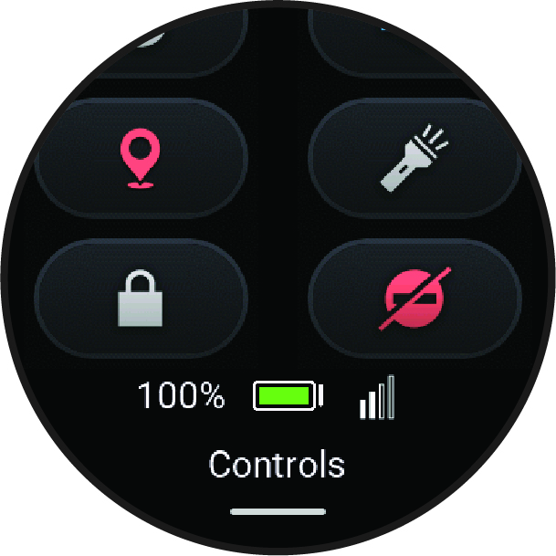 Controls menu data