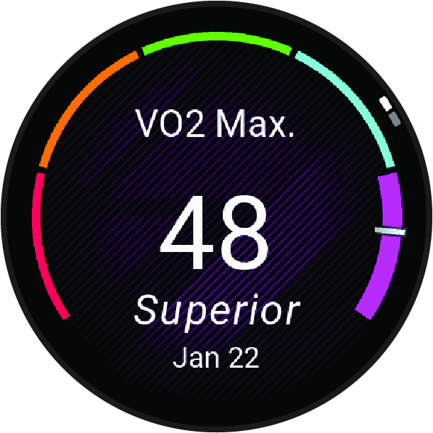 Forerunner 265 Watch Owners Manual - About VO2 Max. Estimates