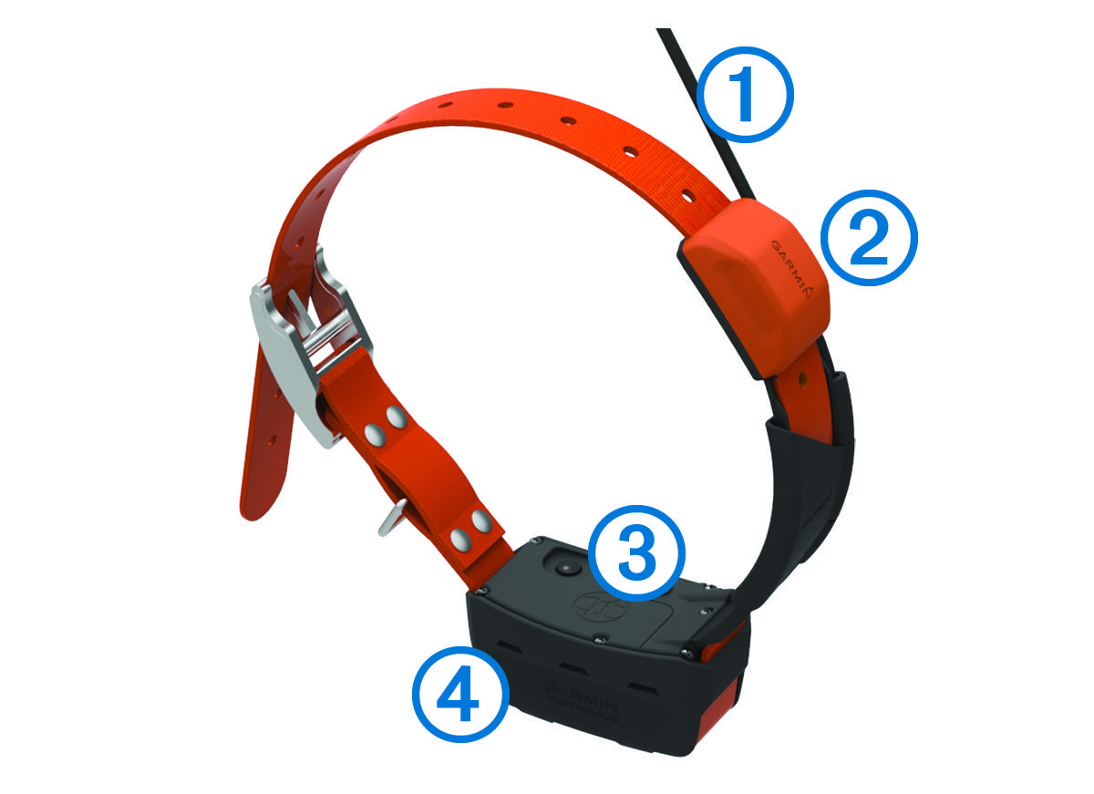 Close-up view of the dog collar device with callouts