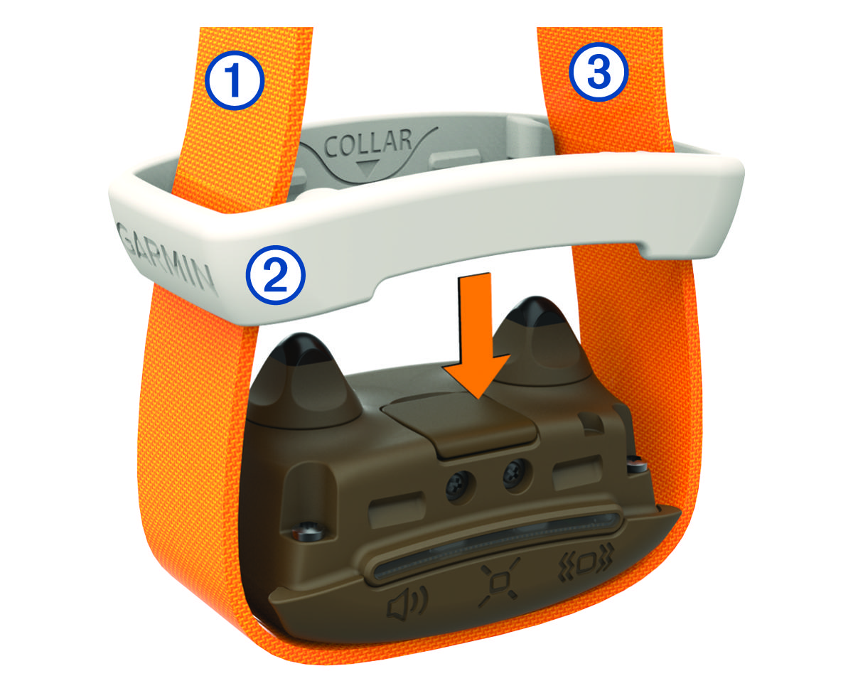 Device, collar band, and collar strap with callouts
