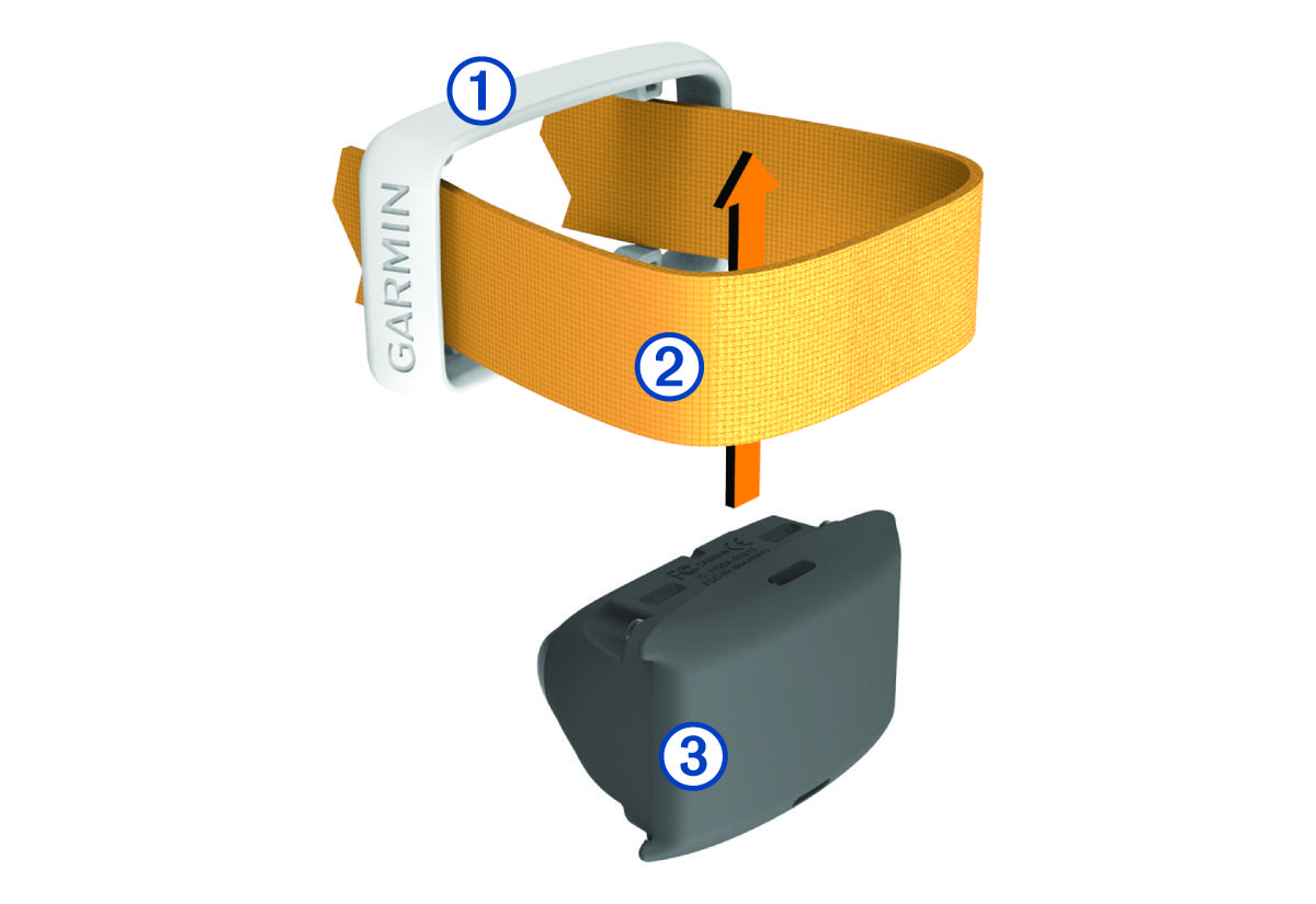 Inserting the device into the dog collar with callouts