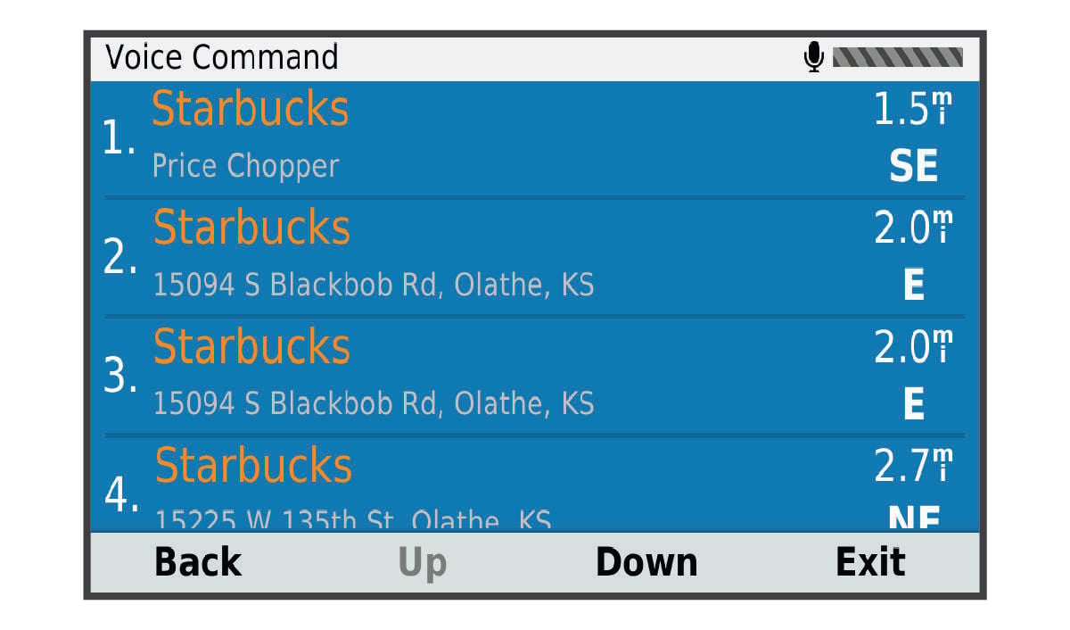 DriveSmart 55/65/71 - Route Using Voice Command