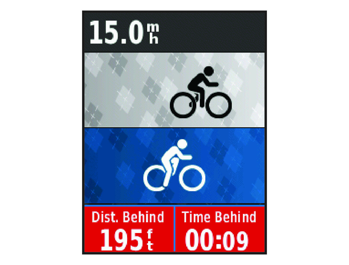 Virtual Partner data