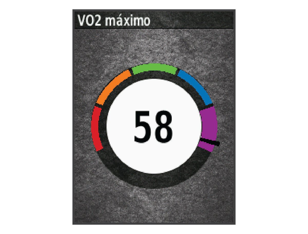 VO2 max. data