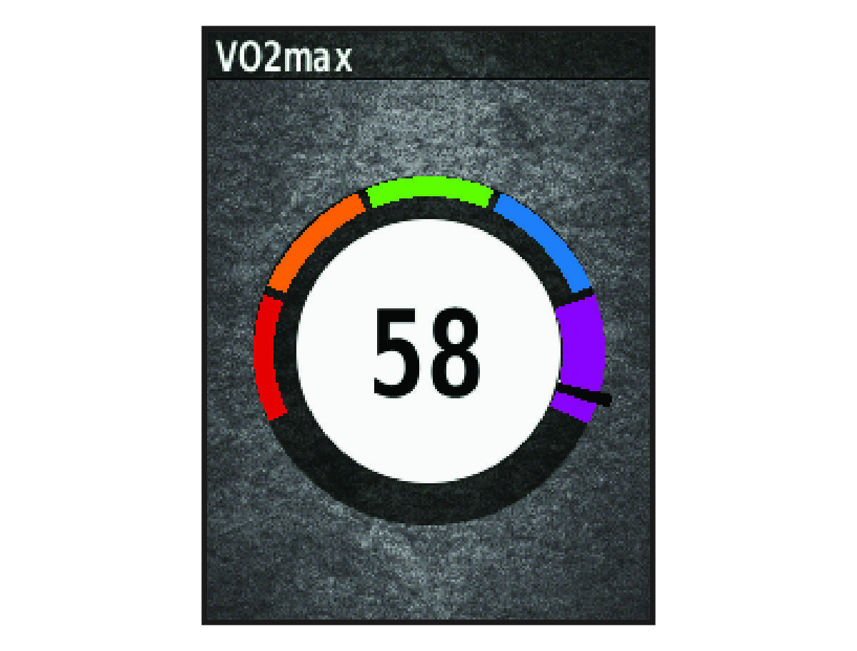VO2 max. data