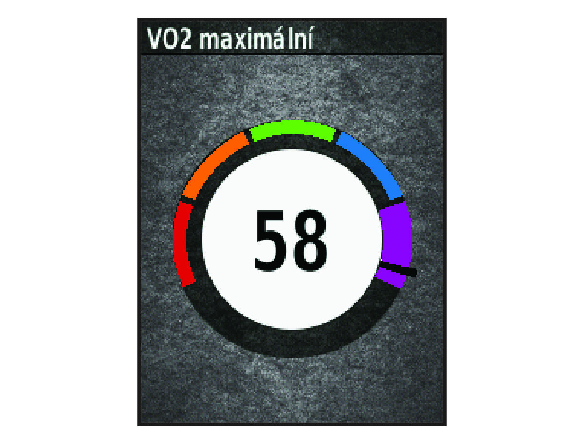 VO2 max. data