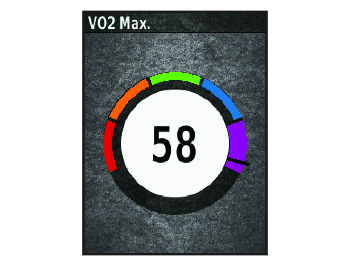 VO2 max. data