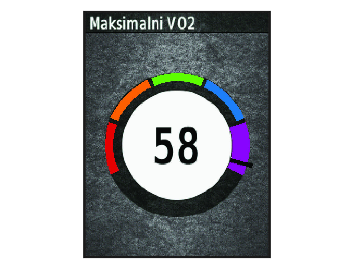 VO2 max. data