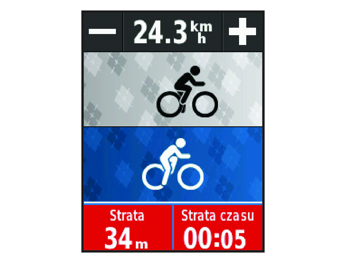 Virtual Partner data