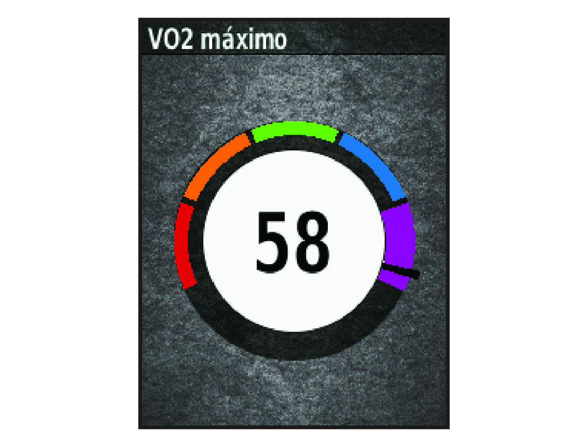 VO2 max. data