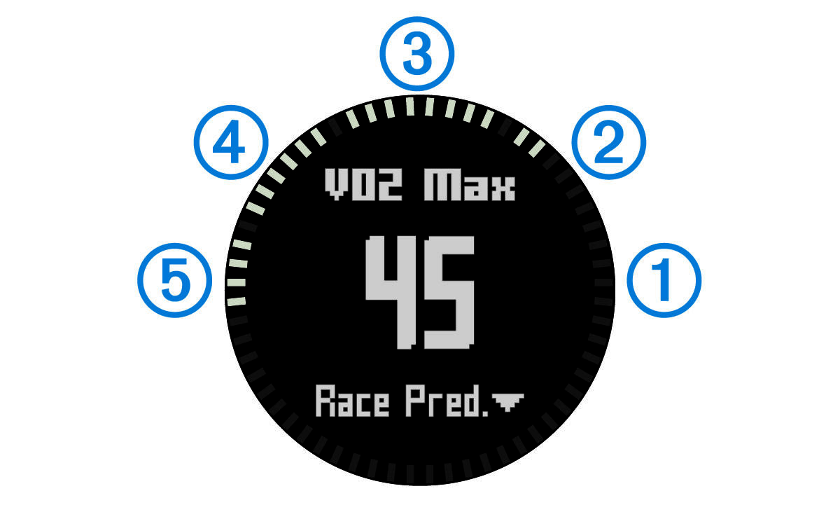 Снимок экрана расчетных значений показателя VO2 Max с обозначениями