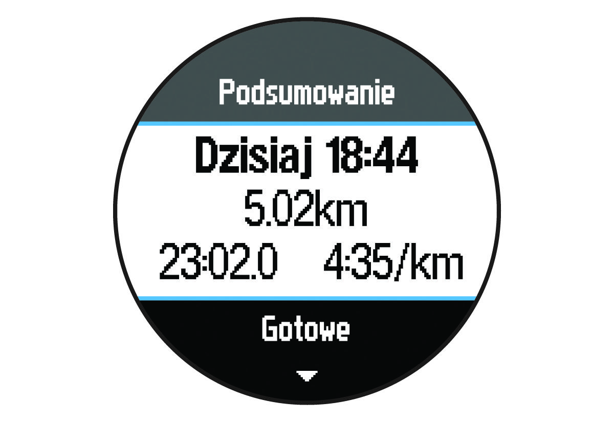 Dane podsumowania biegu