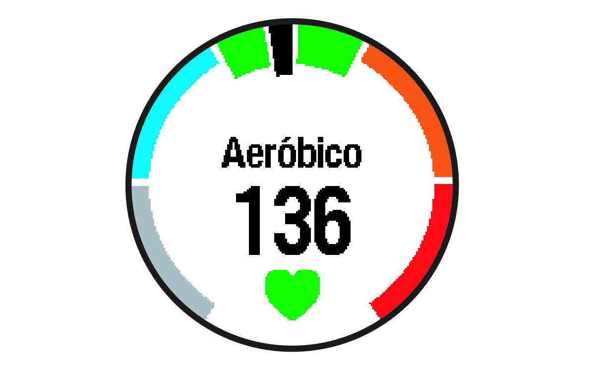 Dados de ritmo cardíaco