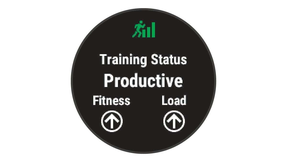 Training status data