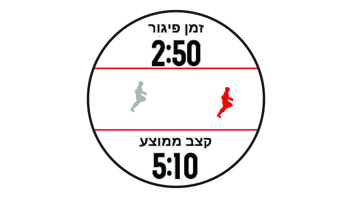 נתוני Virtual Partner