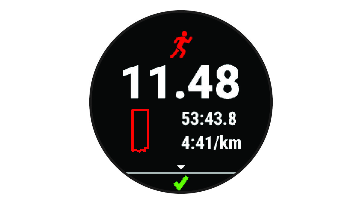 Skrējiena datu kopsavilkums