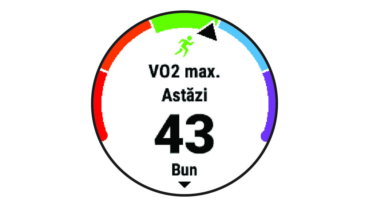 Date VO2 max.