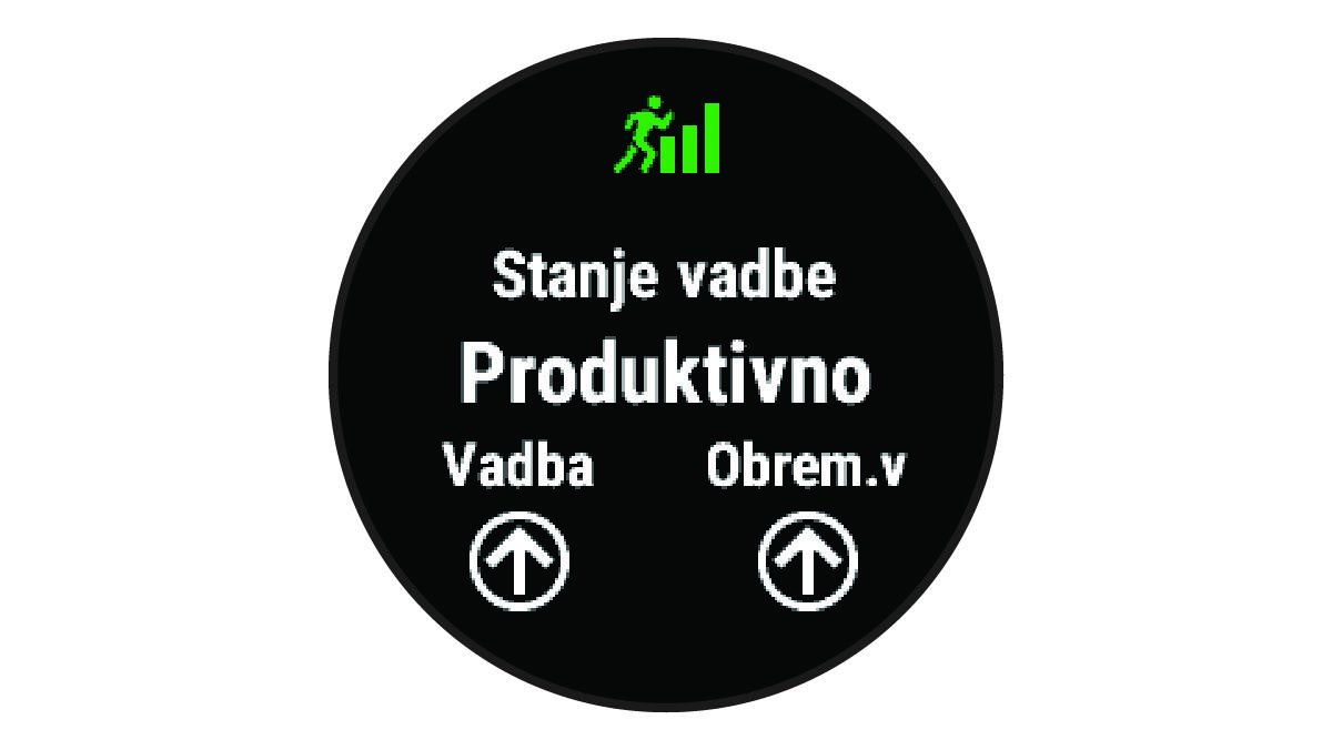 Podatki o stanju vadbe