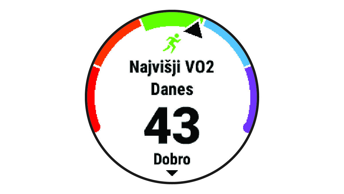 Podatki o najvišjem VO2