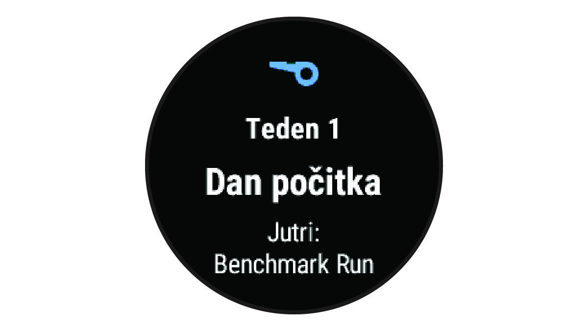 Podatki funkcije Trener Garmin