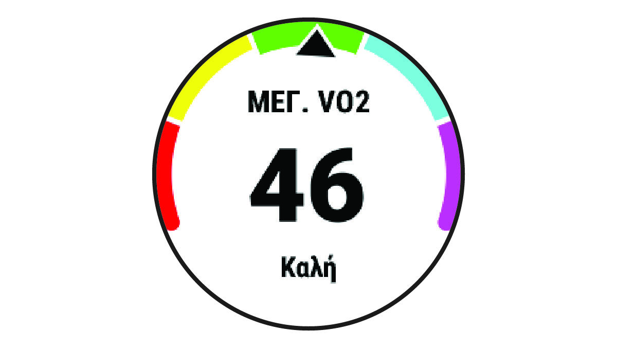 Δεδομένα μέγ. VO2