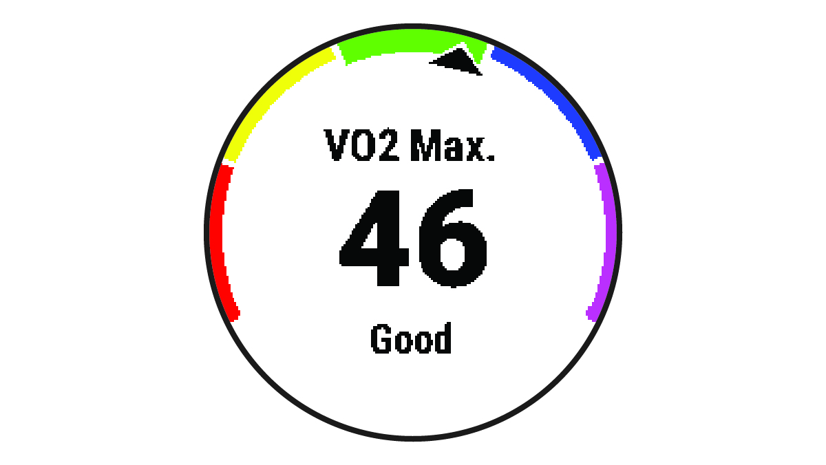 VO2 maksimumo duomenys