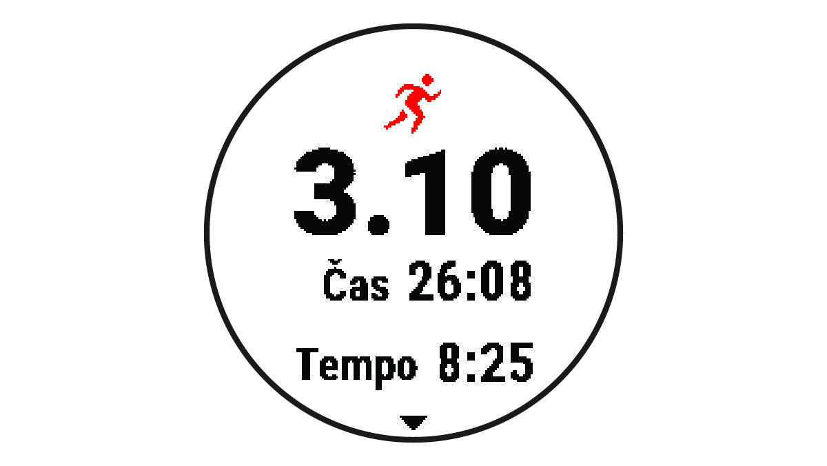 Povzetek podatkov o teku