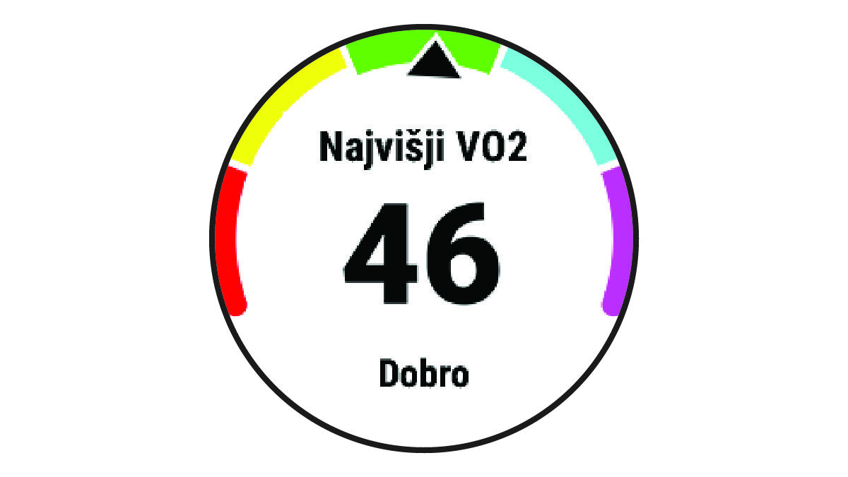 Podatki o najvišjem VO2