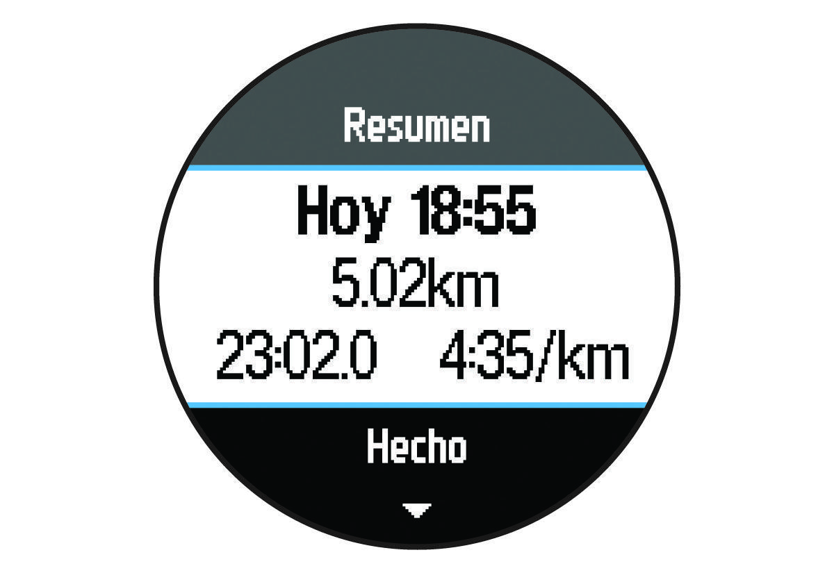 Pantalla de resumen con datos de ejecución