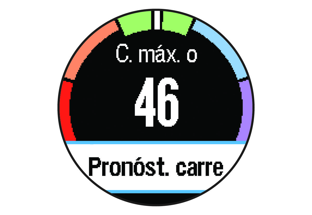 Datos del VO2 máximo