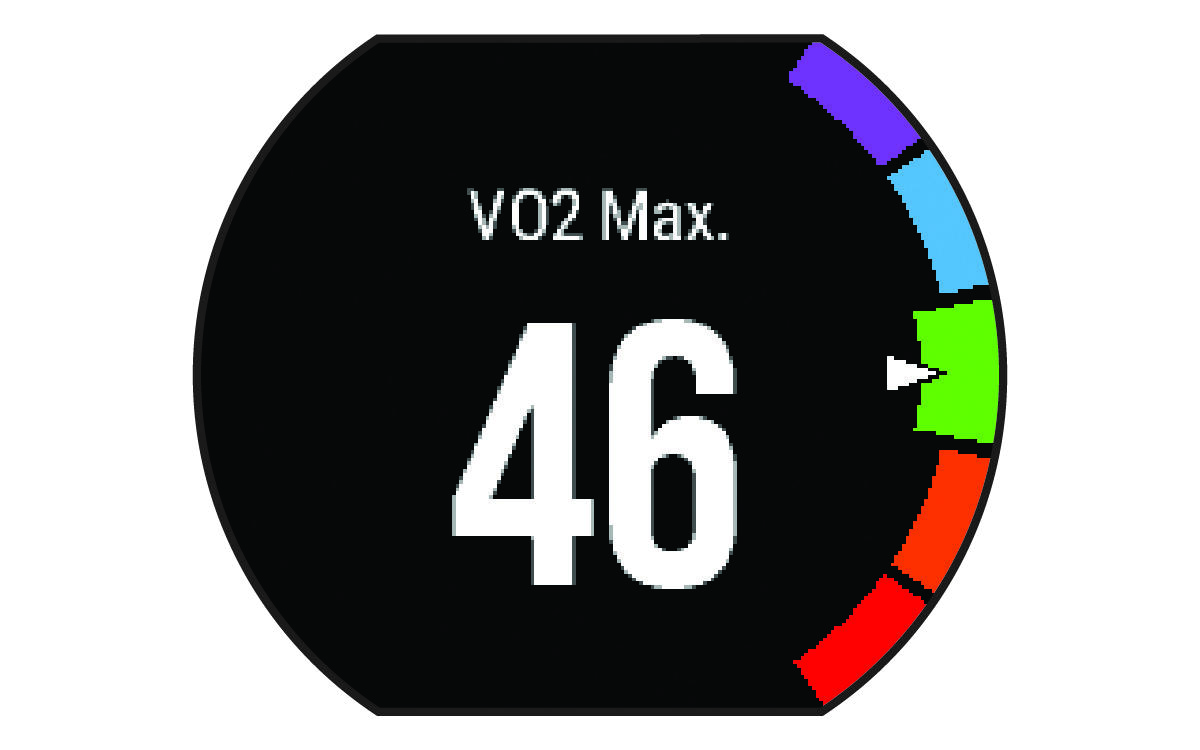 VO2 max. data