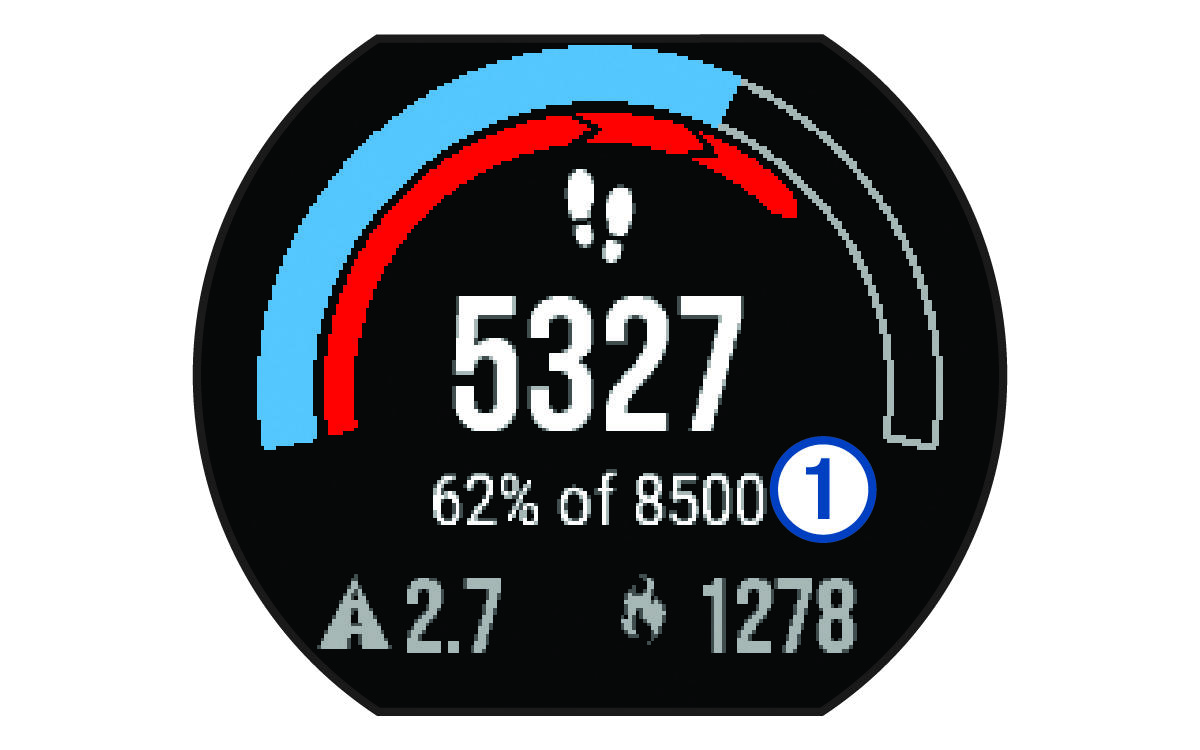 Step goal data with a callout