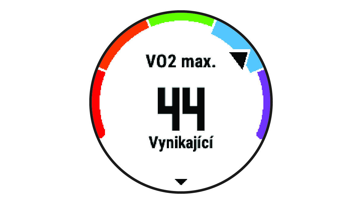 Údaje VO2 Max