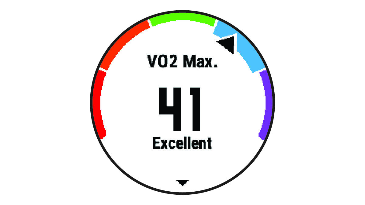 VO2 max. data