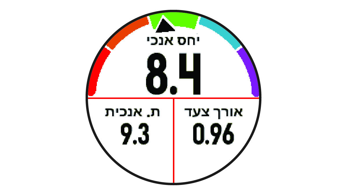 נתוני דינמיקת ריצה