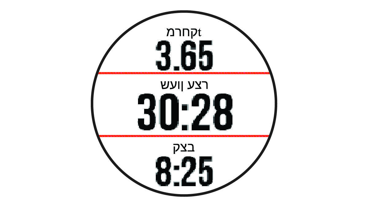 טיימר בפעילות עם נתוני ריצה