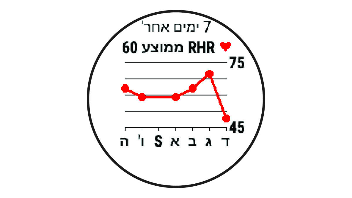 נתוני דופק