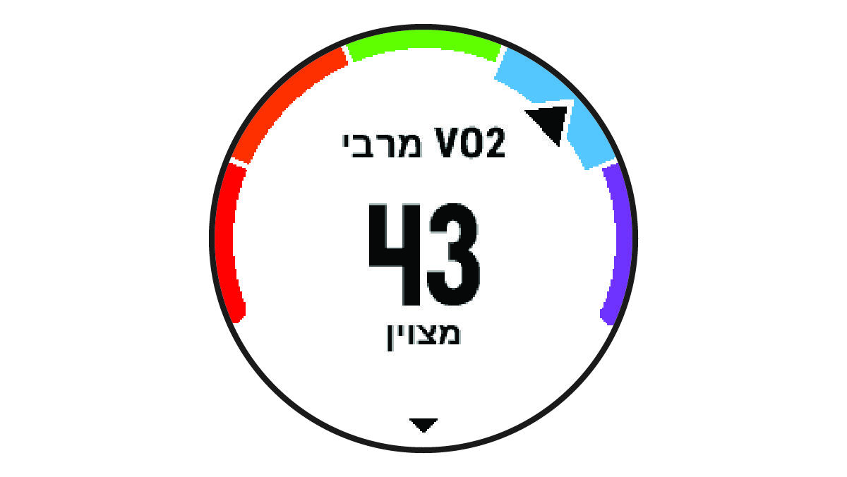 נתוני VO2 מרבי